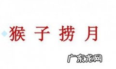 关于猴的成语大全四个字 关于猴的成语