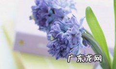似水流年的诗句有哪些三年级 似水流年的诗句有哪些