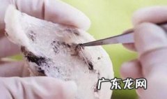 燕窝挑好毛后怎么保存 燕窝挑好毛了怎么保存