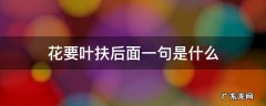 花要叶扶后面的谚语是什么 花要叶扶后面一句是什么