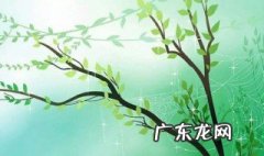 关于柳树的诗句 关于柳树的诗句古诗