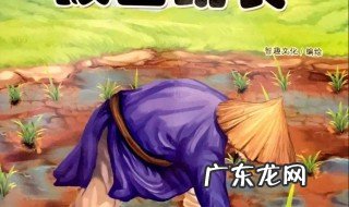 拔苗助长的道理 拔苗助长的道理10个字