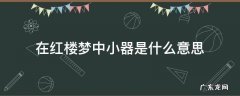 红楼梦小么儿是什么意思 在红楼梦中小器是什么意思