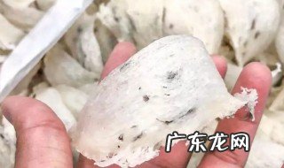 干燕窝保质期 干燕窝保质期一般可以放多久