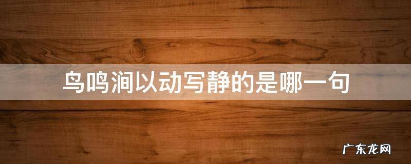 《鸟鸣涧》以动写静的句子是 鸟鸣涧以动写静的是哪一句