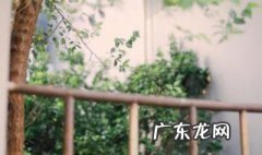 期待着你的回来我的小宝贝是什么歌是用什么鼓 期待着你的回来我的小宝贝是什么歌