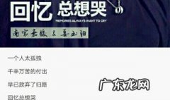 回忆总想哭原唱完整版 回忆总想哭一个人太孤独是什么歌