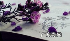 天空是蔚蓝色窗外有千纸鹤是什么歌 天空是蔚蓝色窗外有千纸鹤是什么歌原唱