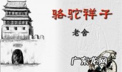 骆驼祥子章节概括 骆驼祥子章节概括100字左右