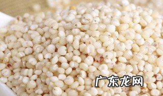 高粱米的作用和禁忌 高粱米有什么食疗作用