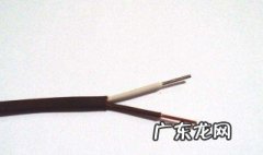 导线什么作用 导线什么作用最强