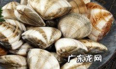 红贝的功效与禁忌 红贝有什么功效和作用