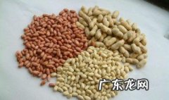 自制花生酪 自制花生酪的比例是多少