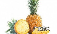 菠萝有什么作用功效 菠萝有什么作用功效与作用
