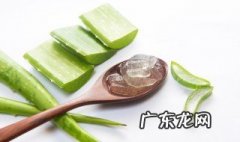 芦荟还有什么其他作用 芦荟还有什么作用和功效