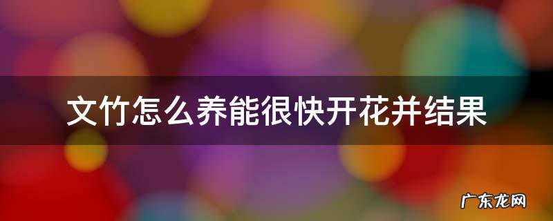 文竹怎么养能很快开花并结果 怎样养文竹才能让它开花结果