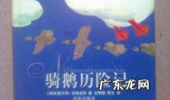 骑鹅旅行记的梗概100字左右 骑鹅旅行记的梗概