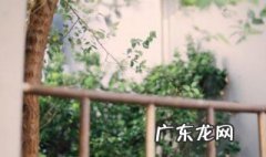 前路漫漫雨纷纷谁在痴痴等是什么歌歌词 前路漫漫雨纷纷谁在痴痴等什么歌