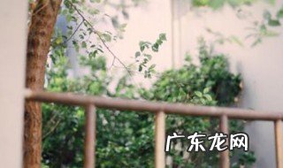 前路漫漫雨纷纷谁在痴痴等是什么歌歌词 前路漫漫雨纷纷谁在痴痴等什么歌