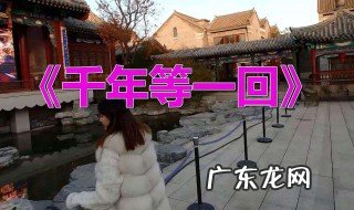雨心碎风流泪是什么歌的歌词 雨心碎风流泪是什么歌