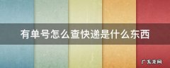 有单号怎么查快递是什么东西 有单号怎么查是哪个快递