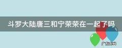 斗罗大陆唐三和宁荣荣在一起了吗 斗罗大陆唐三和宁荣荣在一起了吗图片