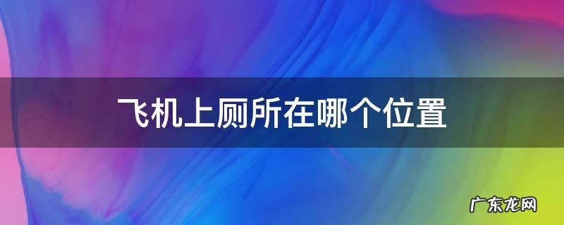 飞机上厕所在哪个位置 飞机上的厕所一般在哪个位置