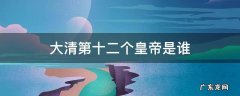 大清第十二个皇帝是谁