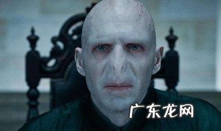 哈利波特伏地魔演员 伏地魔演员