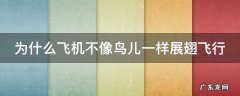 为什么飞机不像鸟儿一样展翅飞行 为什么飞机不像鸟儿一样展翅飞行呢