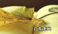 简爱每章概括 简爱每章概括20字