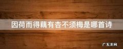 因荷而得藕,有杏不须眉的意思 因荷而得藕有杏不须梅是哪首诗