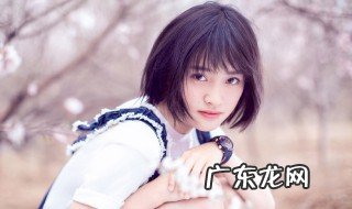 沈月个人资料 沈月个人资料简介