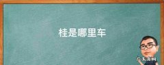 桂是哪里的车牌子 桂是哪里车