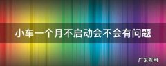 小车一个月不启动会不会有问题呢 小车一个月不启动会不会有问题