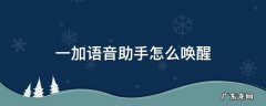 一加语音助手怎么唤醒叫什么名字 一加语音助手怎么唤醒