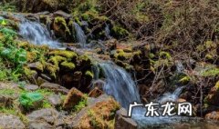 咦?什么意思 神农架金丝猴岭的介绍