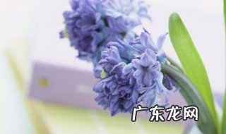 五一节日祝福语简短10字 五一节日祝福语简短