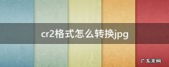 电脑cr2格式怎么转换jpg cr2格式怎么转换jpg