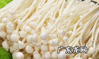 金针菇的做法菜谱 金针菇的做法菜谱大全