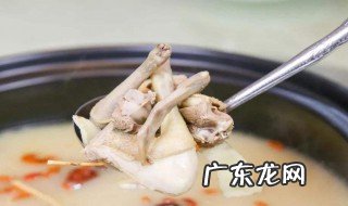 白鸽子汤的作用与禁忌 白鸽子汤的作用
