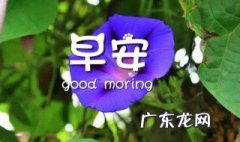 带感情的早安问候 感情的早安语