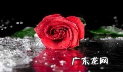 情人节祝福语大全简短送姑娘 情人节祝福语大全简短