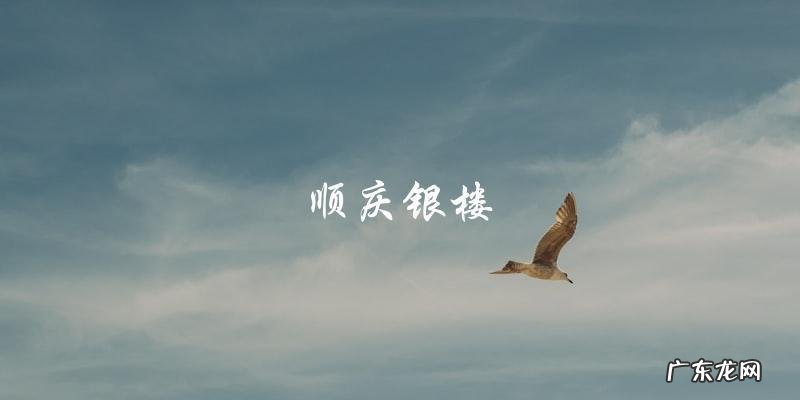 老银匠VS顺庆银楼:谁才是最佳选项?