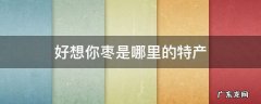 好想你枣是哪里的特产 好想你枣子是哪里特产
