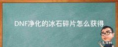 冰石碎片在哪里换 DNF净化的冰石碎片怎么获得