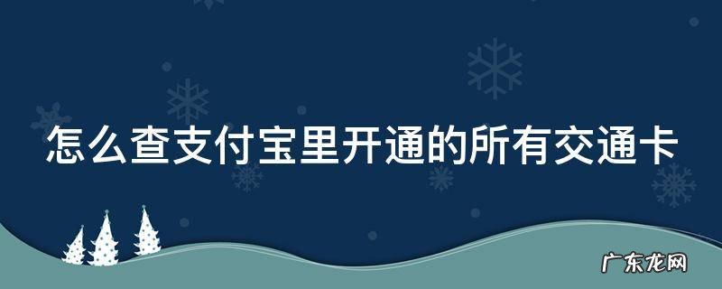 怎么查支付宝里开通的所有交通卡号 怎么查支付宝里开通的所有交通卡