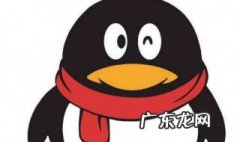 qq怎么做到不显示个人资料 qq怎么做到不显示个人资料信息