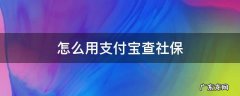 怎么用支付宝查社保 怎么用支付宝查社保卡余额查询