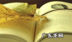 老人与海简介英文 老人与海简介